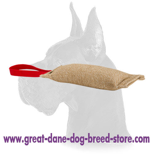 Dog-friendly Jute Bite Tug with Handle for Great Dane Puppies