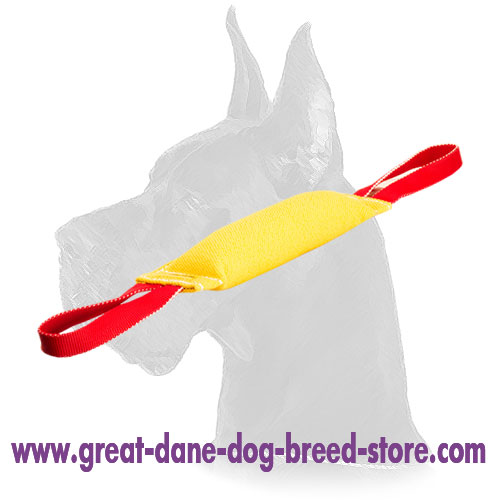 Professional Training Dog Bite Tug for Great Dane Puppies