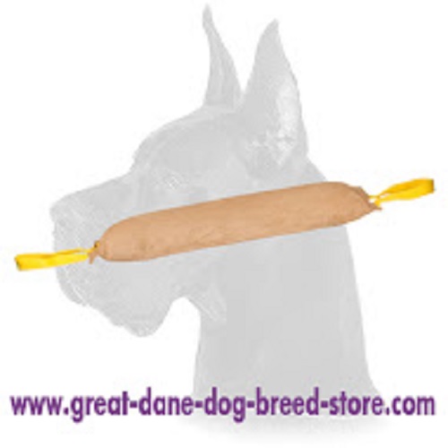 High quality Leather Bite Tug with 2 Handles for Great Dane