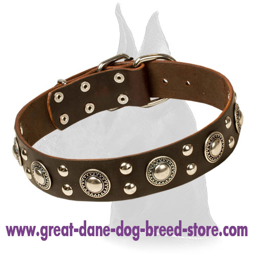 "Rock n Roll" Leather Collar with Extravagant Decoration