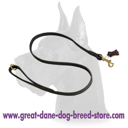 Multifunctional 1/2 inch Wide Leather Dog Leash