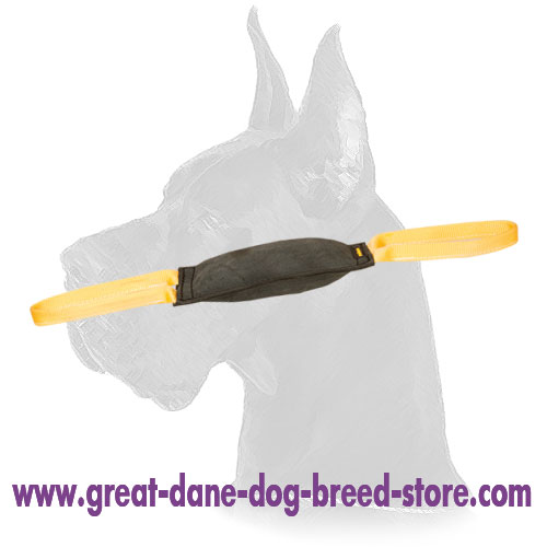 "Firm Bite" Great Dane Leather Tug