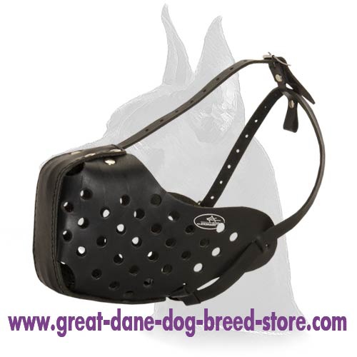 Attack Training Muzzle for Great Dane