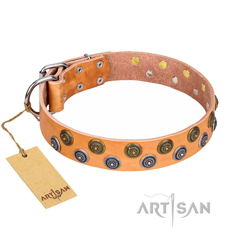 "Precious Sparkle" FDT Artisan Tan Leather Great Dane Collar for Walking in Style