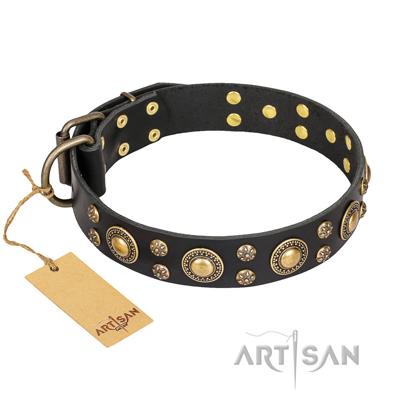 'Baroque Chic' FDT Artisan Studded Black Leather Great Dane Dog Collar