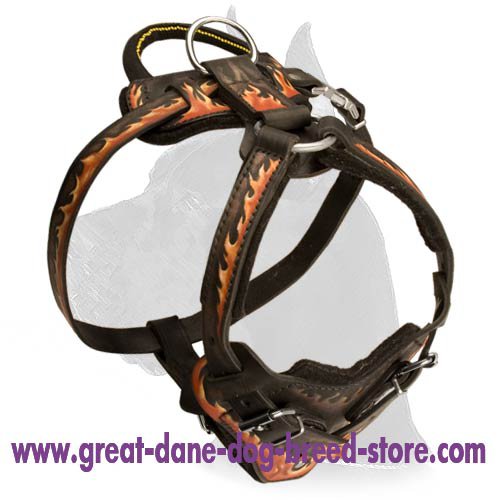 Hand Painted Leather Harness for Great Dane