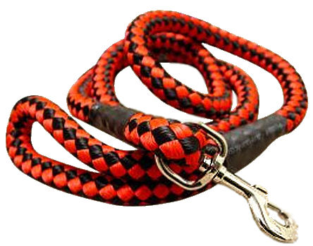 5 foot Round Nylon Leash With Brass Snap for Great Dane