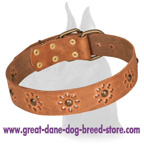 "Spring Mood" Decorated Leather Collar with Brass Studs