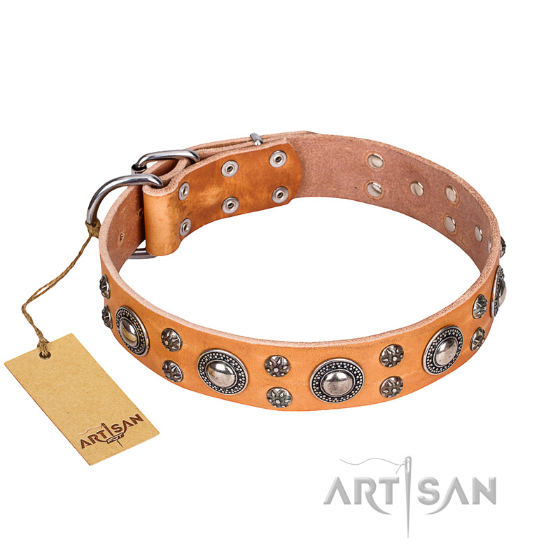 'Extra Sparkle' FDT Artisan Handcrafted Tan Great Dane Leather Dog Collar