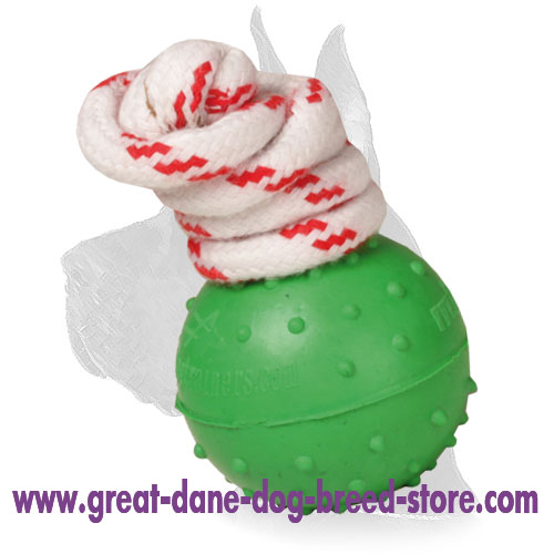 Small Water Dotted Rubber Ball "Joy and Train"