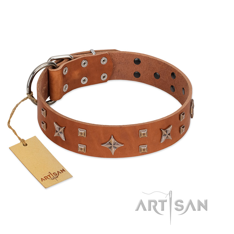 "Dreamy Gleam" FDT Artisan Tan Leather Great Dane Collar Adorned with Stars and Squares