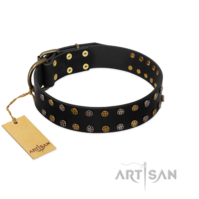 "Star Way" FDT Artisan Black Leather Great Dane Collar with Bronze-like and Silver-like Star Studs