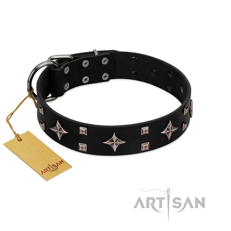 "Snappy Dresser" FDT Artisan Black Leather Great Dane Collar Adorned with Stars and Tiny Squares
