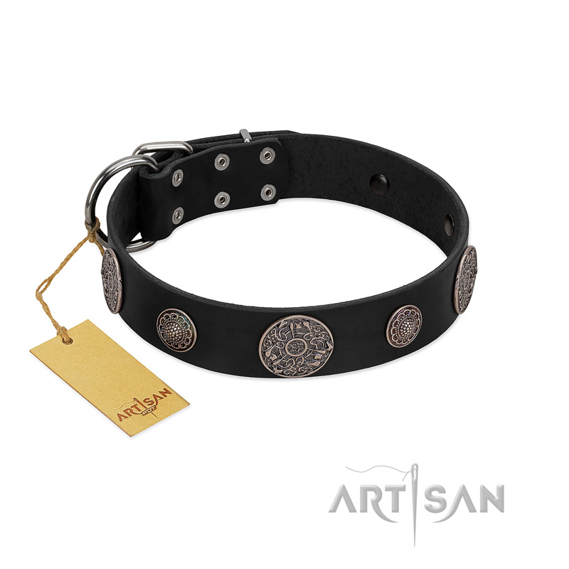 "Ad Infinitum" Durable FDT Artisan Black Leather Great Dane Collar with Chrome Plated Brooches