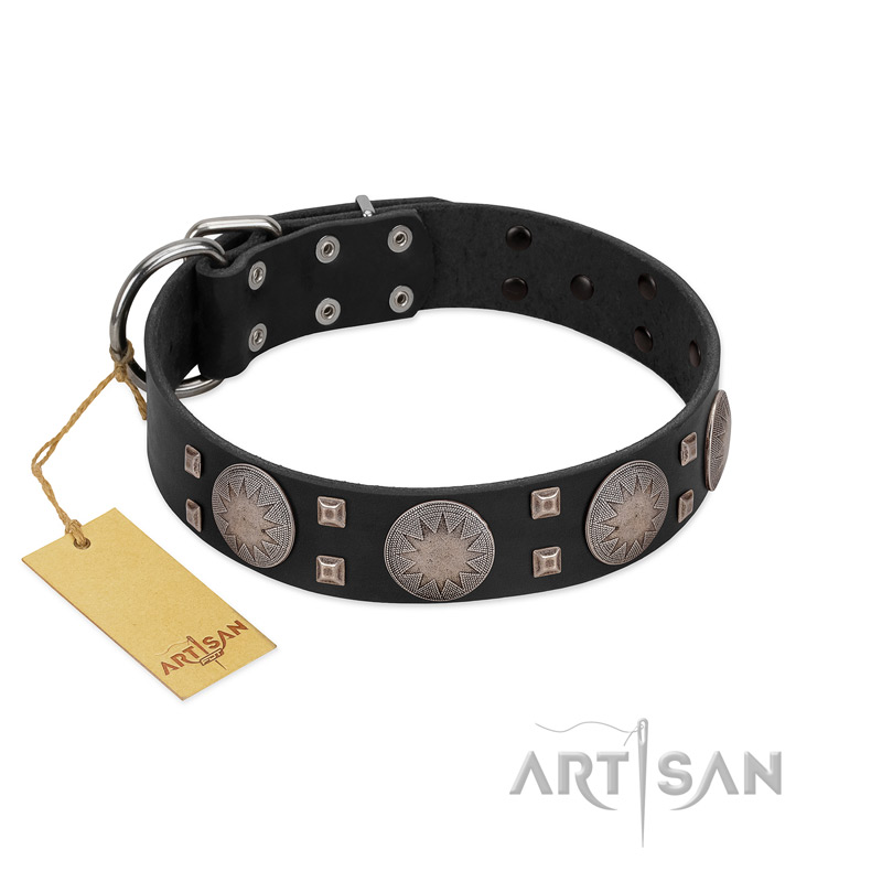 "Sun in Shining" Modern FDT Artisan Black Leather Great Dane Collar with Studs and Stars