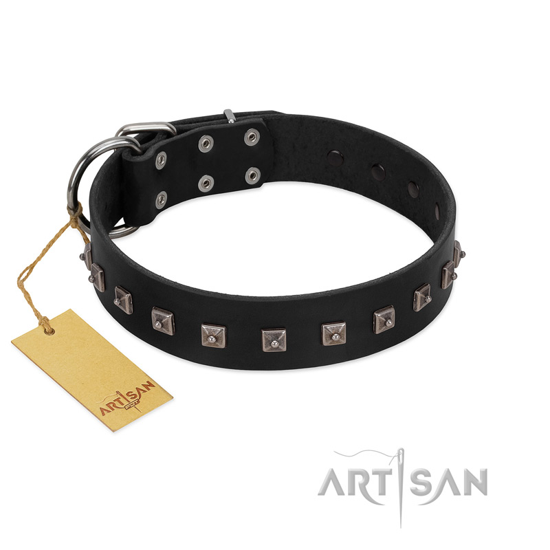 "Natural Beauty" Premium Quality FDT Artisan Black Designer Great Dane Collar with Dotted Studs