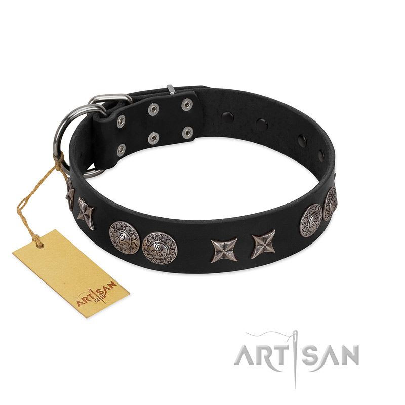 "Scythian Silver" Stylish Handmade FDT Artisan Black Leather Great Dane Collar