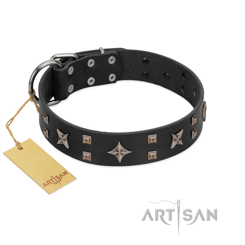 "Star Excitement" Modern FDT Artisan Black Leather Great Dane Collar with Studs and Stars