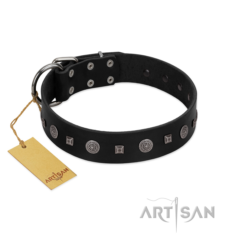 "Mr. Elegance" Designer FDT Artisan Black Leather Great Dane Collar with Silver-Like Studs