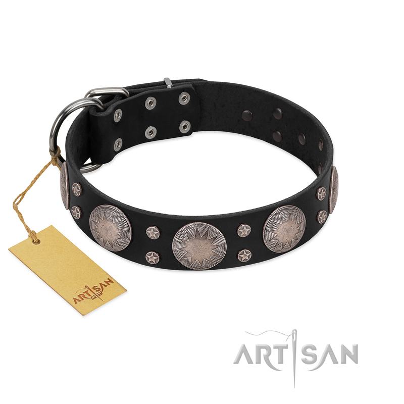 "Starry Sky" Trendy FDT Artisan Black Leather Great Dane Collar with Large Brooches