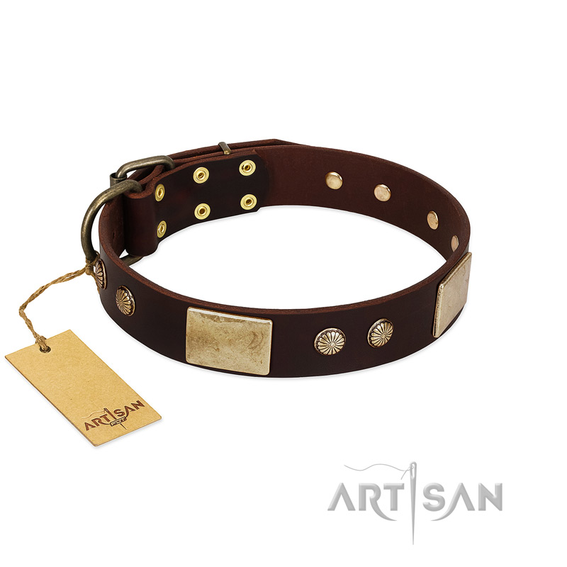 "Middle Age" FDT Artisan Brown Leather Great Dane Collar with Old Bronze-Plated Engraved Flowers and Large Plates