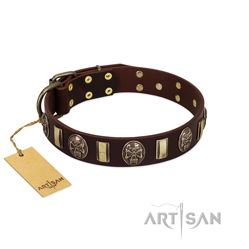 "Skull's Adventure" FDT Artisan Brown Leather Great Dane Collar with Plates and Ovals