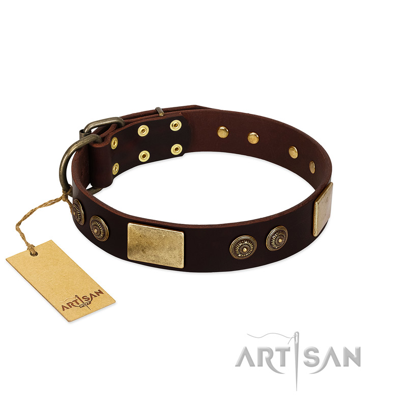 "Bow-Wow Effect" FDT Artisan Brown Leather Great Dane Collar with Plates and Ornate Studs - Click Image to Close