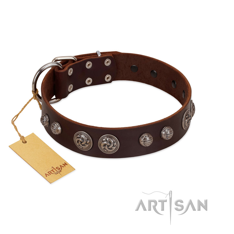 "Choco Brownie" FDT Artisan Brown Leather Great Dane Collar Adorned with Silver-Like Conchos - Click Image to Close