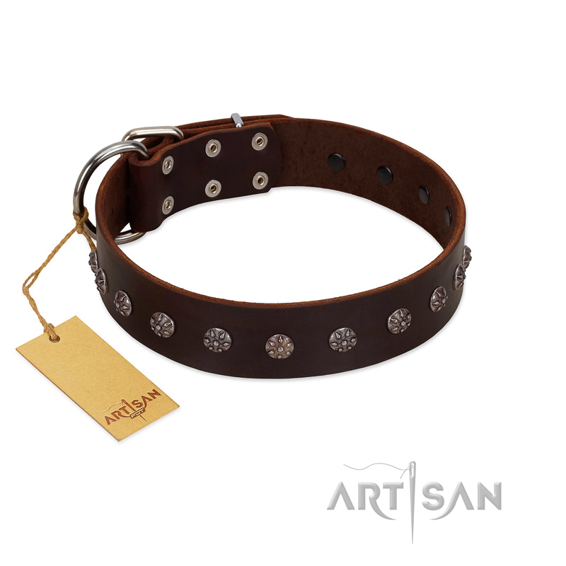 "Graceful Classic" Mod FDT Artisan Brown Leather Great Dane Collar