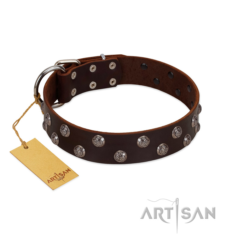 "Blossom Jewel" FDT Artisan Brown Leather Great Dane Collar with Two Rows of Silver-like Studs with Engraved Flowers