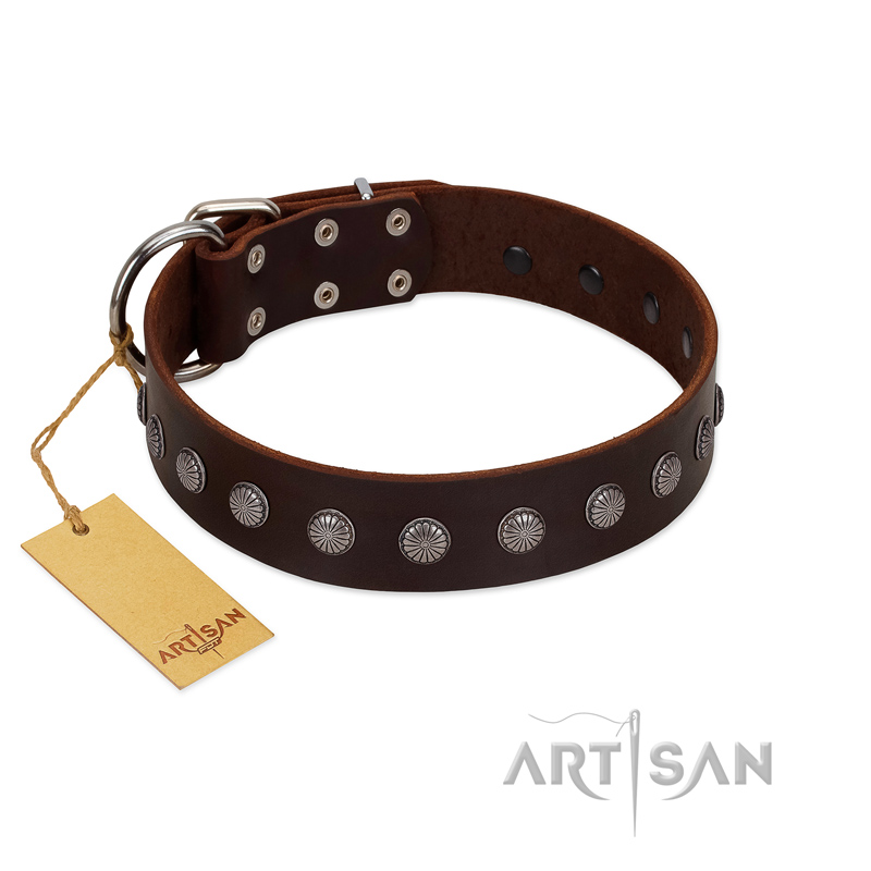 "Spring Flower" Stylish FDT Artisan Brown Leather Great Dane Collar for Comfy Walks