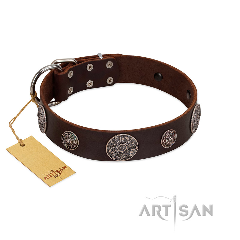 "Flashy Woof" FDT Artisan Brown Leather Great Dane Collar with Chrome Plated Brooches