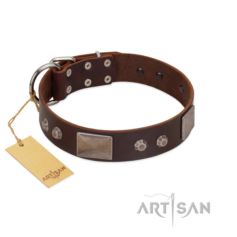 "Stone Stars" Stylish Handmade FDT Artisan Brown Leather Great Dane Collar