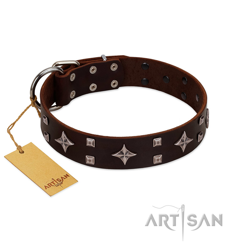 "Trendy Candy" FDT Artisan Brown Leather Great Dane Collar Adorned with Stars and Tiny Squares
