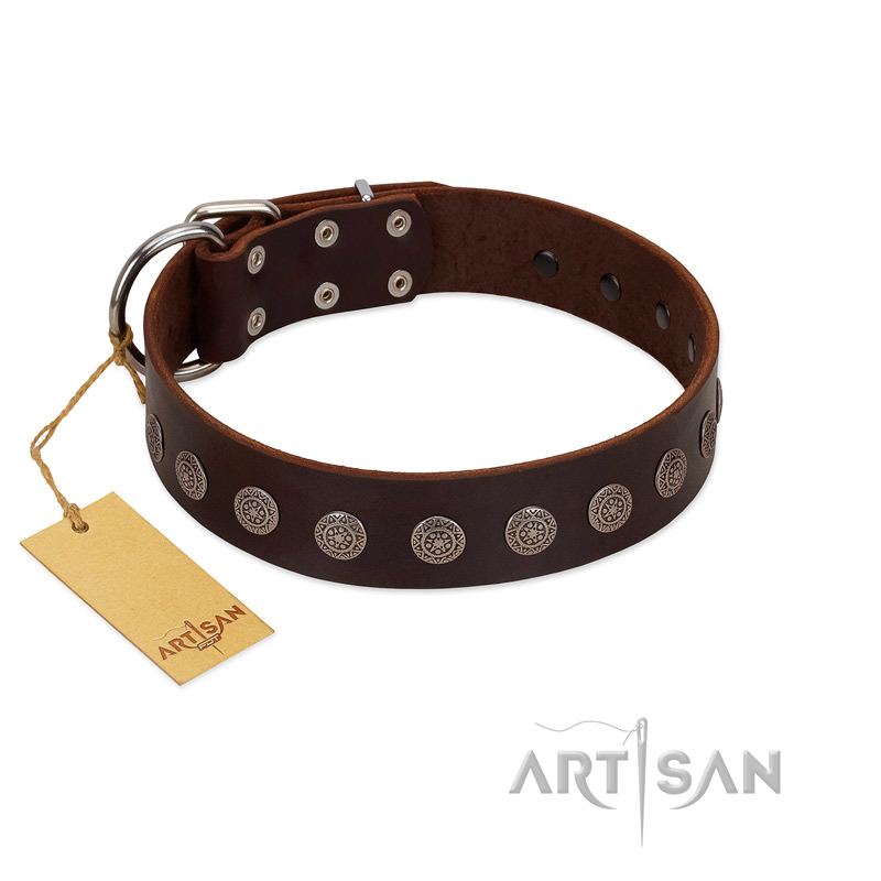"Starry-Eyed" Best Quality FDT Artisan Brown Designer Leather Great Dane Collar with Small Plates - Click Image to Close