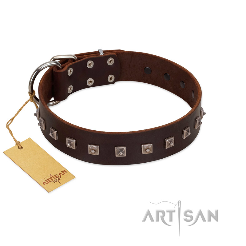 "Kingly Grace" FDT Artisan Brown Leather Great Dane Collar with Silver-like Dotted Studs - Click Image to Close