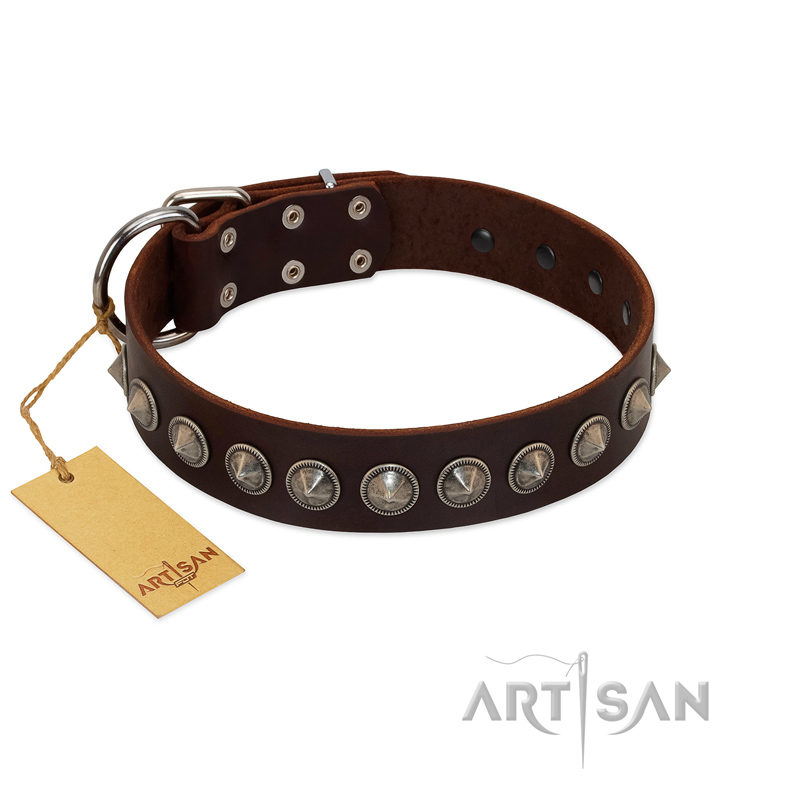 "Gothic Style" FDT Artisan Fancy Brown Leather Great Dane Collar with Silver-Like Decorations