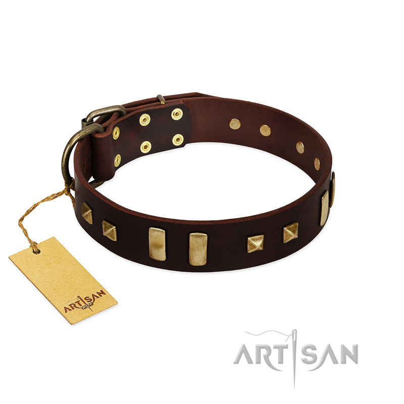 "Choco Delight" FDT Artisan Brown Leather Great Dane Collar with Old Bronze-like Plates and Studs
