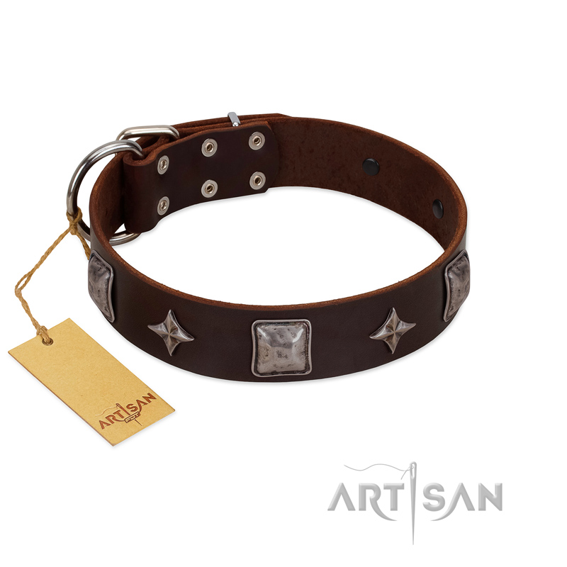 "Cold Star" Designer FDT Artisan Brown Leather Great Dane Collar with Silver-Like Adornments