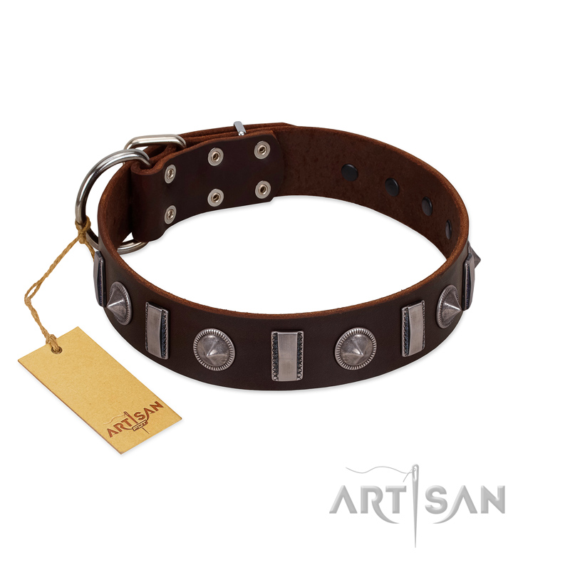 "Spiky Way" FDT Artisan Brown Leather Great Dane Collar with Silver-Like Decorations