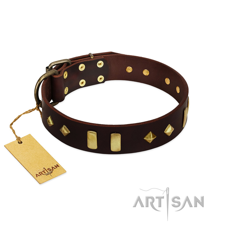 "Blinking Illusion" FDT Artisan Brown Leather Great Dane Collar with Old Bronze-like Studs and Plates