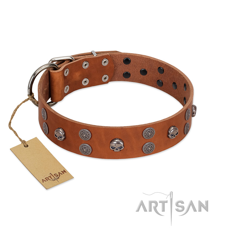 "Road Rider" FDT Artisan Tan Leather Great Dane Collar with Old Silver-like Skulls and Medallions