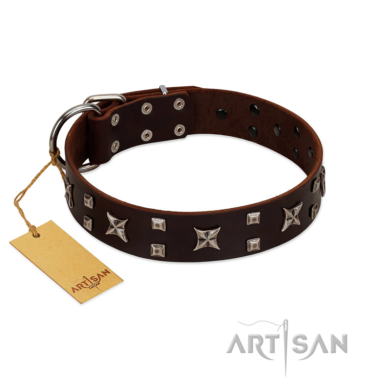 "Bigwig Woof" FDT Artisan Brown Leather Great Dane Collar with Chrome Plated Stars and Square Studs - Click Image to Close