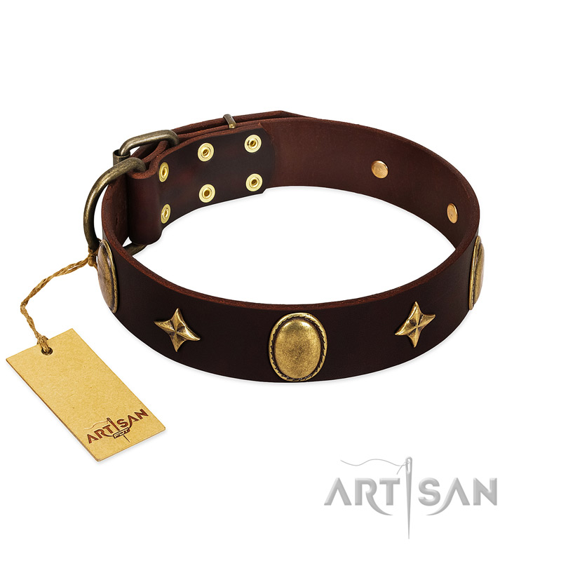 "Victory and Laurels" FDT Artisan Brown Leather Great Dane Collar with Ovals and Stars