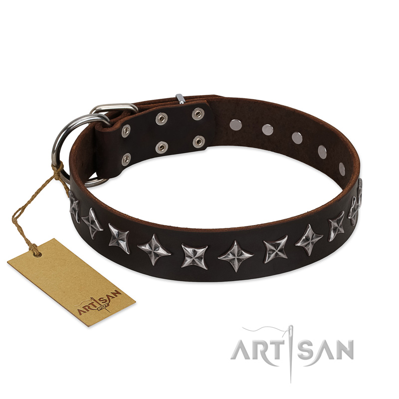 "Stars of Glory" FDT Artisan Brown Leather Great Dane Collar for Comfortable Walking