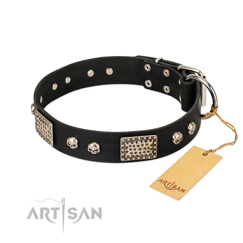 "Pirates Gold" FDT Artisan Black Leather Great Dane Collar with Old Silver Look Plates and Skulls