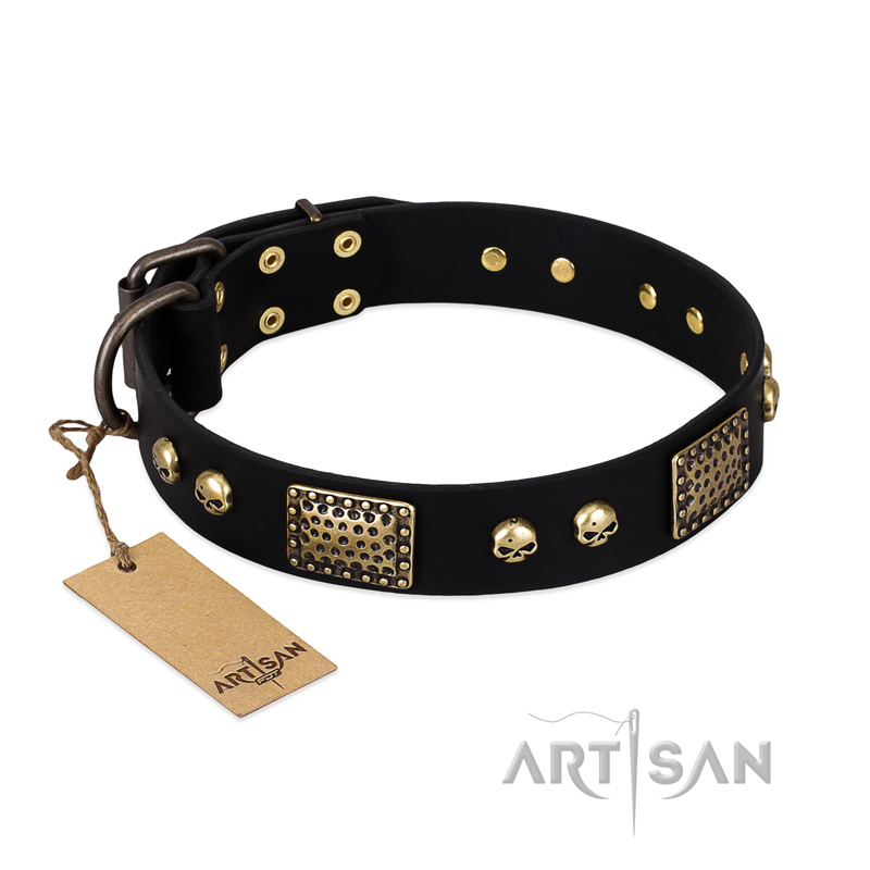 "Biker Style" FDT Artisan Black Leather Great Dane Collar with Old Bronze Look Plates and Skulls