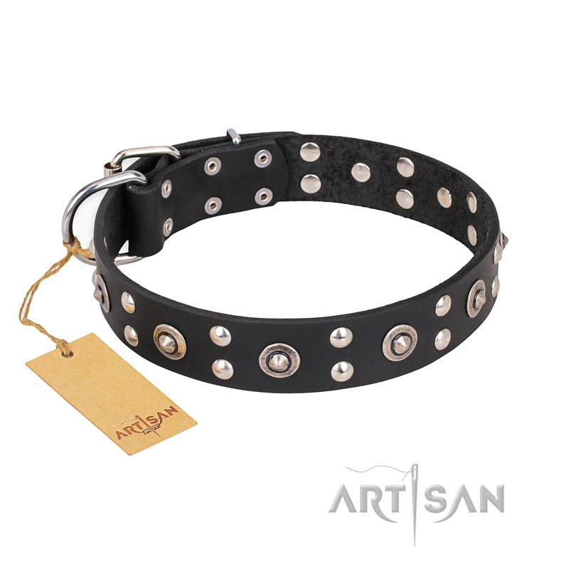 "Refined Essence" FDT Artisan Black Leather Great Dane Collar with Silvery Studs