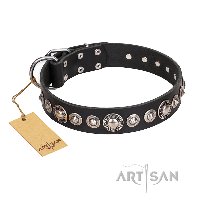 "Strict Elegance" FDT Artisan Black Leather Great Dane Collar with Decorations - Click Image to Close