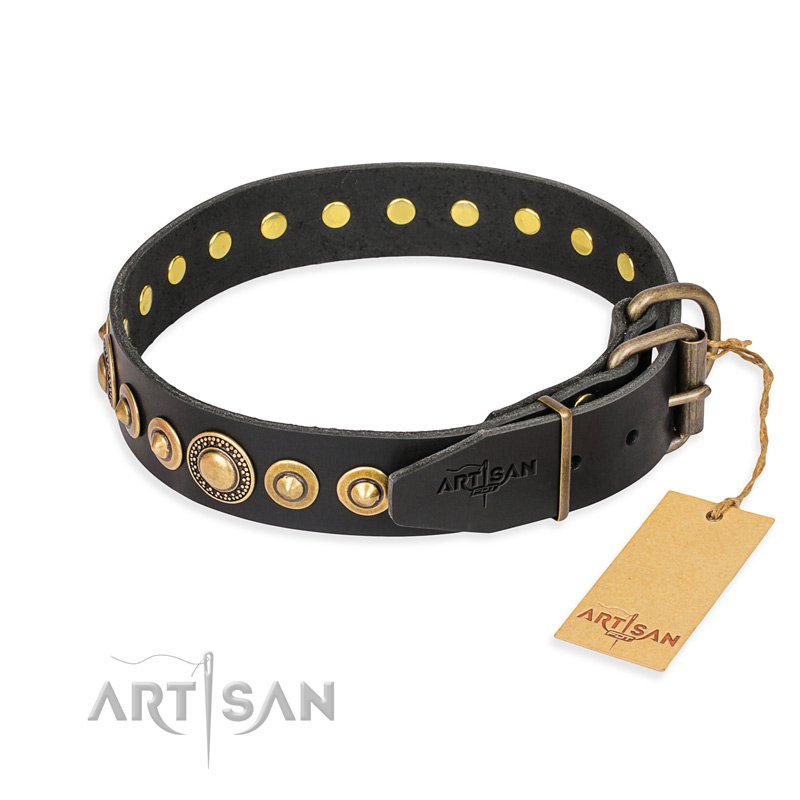 "Gold Mine" FDT Artisan Black Leather Great Dane Collar with Amazing Bronze-Plated Round Studs